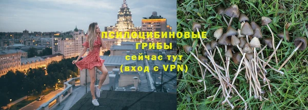 наркотики Новозыбков