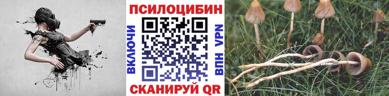 Псилоцибиновые грибы прущие грибы  Купить  Всеволожск 